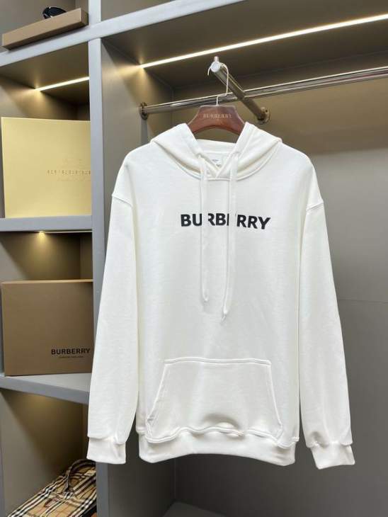 Picture of Burberry Hoodies _SKUBurberryS-2XLaztx85901828